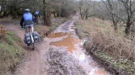 Following Macmillan Way West, the Quantock Ridge Track from Lydeard Hill Car Park, which gets rather muddy in places